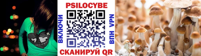 Псилоцибиновые грибы MAGIC MUSHROOMS Усинск