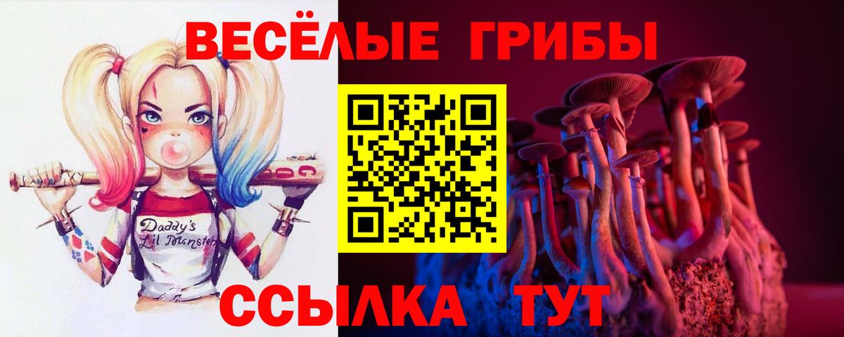 закладка  Вход с VPN  Усинск  Галлюциногенные грибы Cubensis 